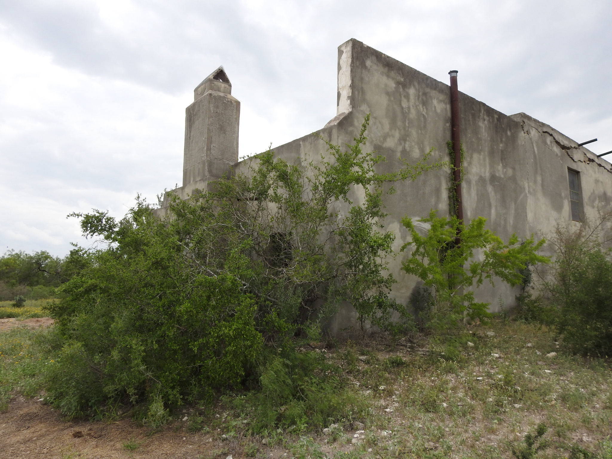 La Perla in 2018.